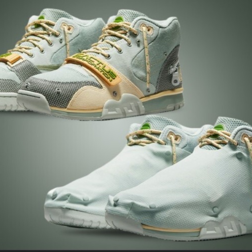 Travis Scott Cactus Jack Air Trainer